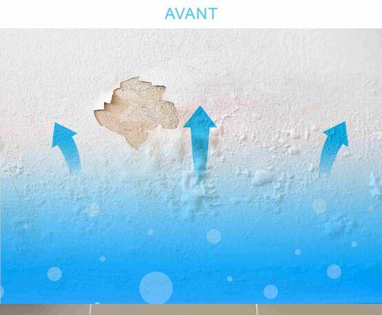  Appareil d’assèchement des murs – Inverseur de polarité électromagnétique IPE contre l’humidité ATE LC15 blanc - HUMIDITÉ CONSEIL