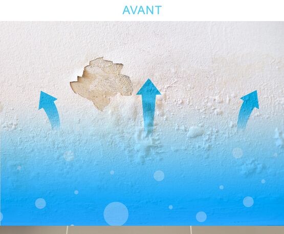  Appareil d’assèchement des murs – Inverseur de polarité électromagnétique IPE contre l’humidité ATE LC30 blanc - HUMIDITÉ CONSEIL