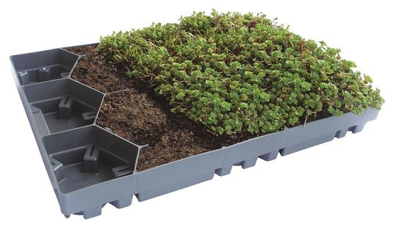  Bac précultivé pour toiture végétale | ECOSEDUM PACK  - ECOVEGETAL