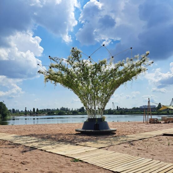  Banc circulaire urbain avec ombrage végétal pour collectivités | Corolle L Contrario - URBAN CANOPEE