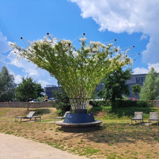  Banc circulaire urbain avec ombrage végétal pour collectivités / Urban Canopee - Banc public