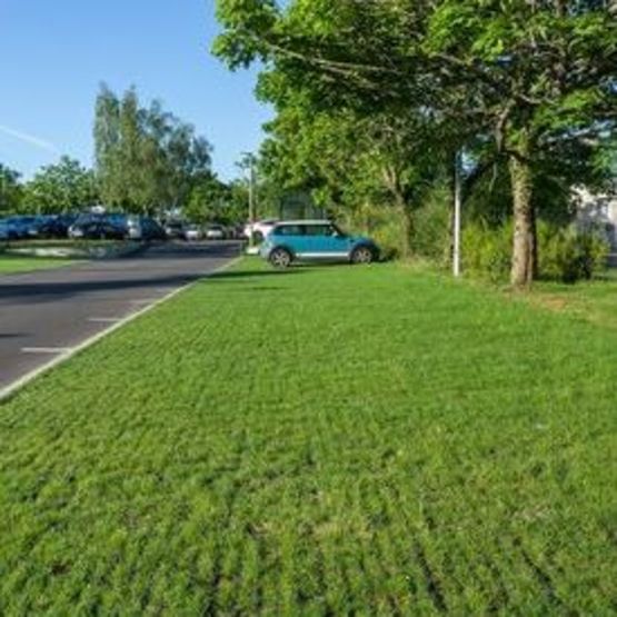  Dalle préengazonnée ECORASTER | ECOVEGETAL GREEN - ECOVEGETAL