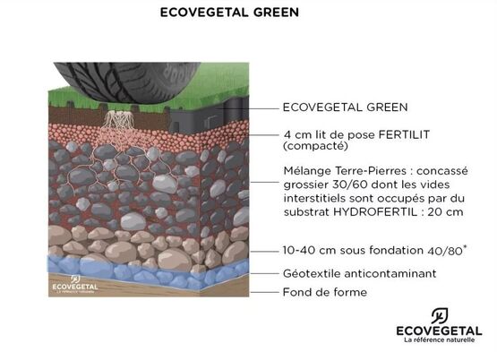 Dalle préengazonnée ECORASTER | ECOVEGETAL GREEN - produit présenté par ECOVEGETAL