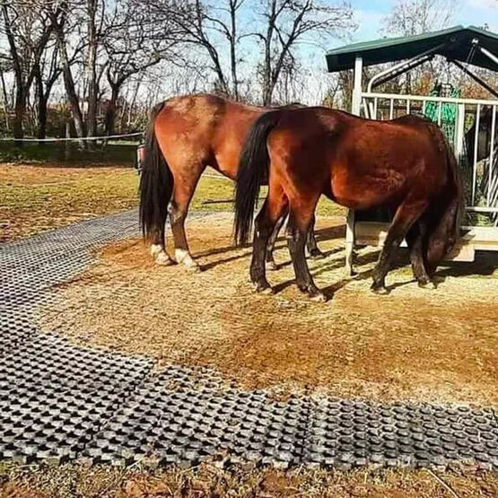 Dalles ALVEOLES pour centres equestres