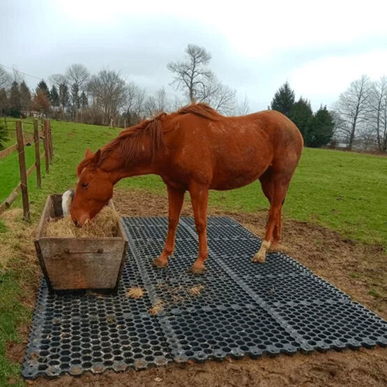 Dalles ALVEOLES pour centres equestres - produit présenté par MOSAIK CREATION