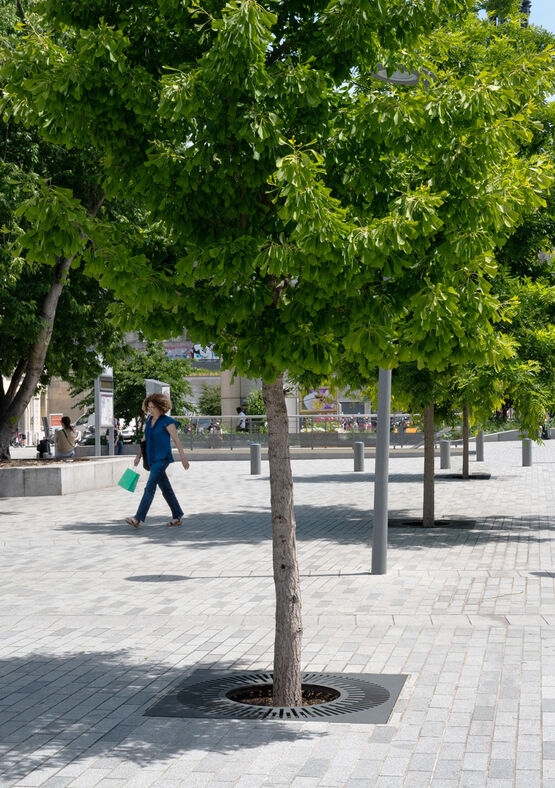 Grille d&#039;arbre en acier | Cardiff - produit présenté par AREA