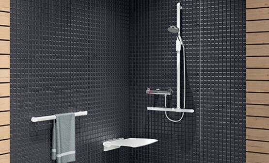 Tablette porte-savon pour barre de douche, anthracite métallisé | Réf. 511922C - produit présenté par DELABIE