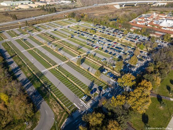  Végétalisation pour parking drainant à usage intensif | ECOVEGETAL MOUSSES - ECOVEGETAL