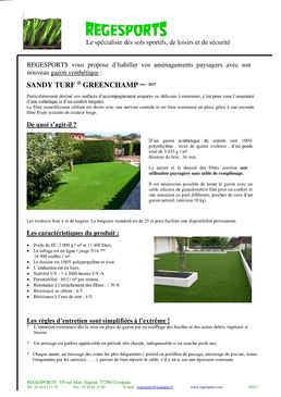 Gazon synthétique ornemental d'agrément | Sandy turf GREEN CHAMP