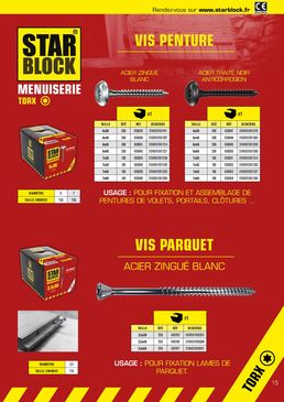 Vis penture en acier zingué ou traité anticorrosion | Vis Penture Starblock