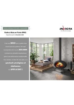 Poêle à bois design en fonte avec post combustion Flamme Verte 7 étoiles | Brio sur pied P648114