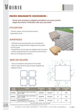 Pavé drainant avec écarteurs | Lib Industries