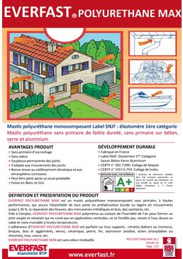 Mastic polyuréthane monocomposant : élastomère 1ère catégorie | EVERFAST POLYURÉTHANE MAX 