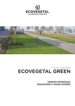 Dalle préengazonnée ECORASTER | ECOVEGETAL GREEN