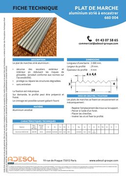 Plat de marche INOX à encastrer GRAND TRAFIC | 660156