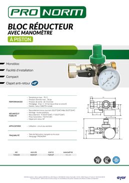 Bloc réducteur de pression à piston avec manomètre | PRONORM