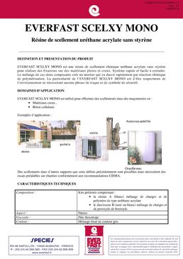 Résine de scellement uréthane acrylate sans styrène | EVERFAST SCELXY MONO