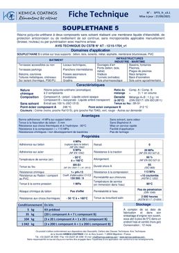 Étanchéité liquide biosourcée | SOUPLETHANE 5 