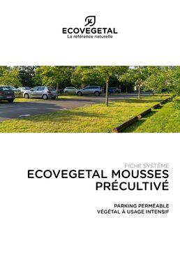 Végétalisation pour parking drainant à usage intensif | ECOVEGETAL MOUSSES