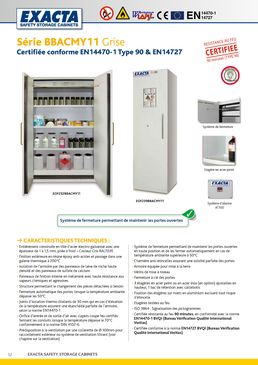 Armoire pour produits inflammables | Série BBACMY11 Grise