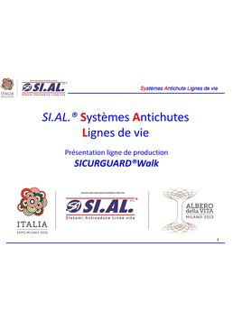 Parcours circulables en aluminium pour franchissement d'obstacles | SICURGUARD Walk