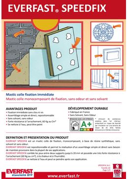 Mastic colle fixation immédiate | EVERFAST SPEEDFIX