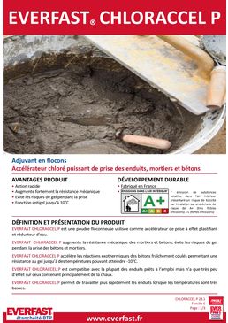 Adjuvant en flocons | EVERFAST CHLORACCEL P