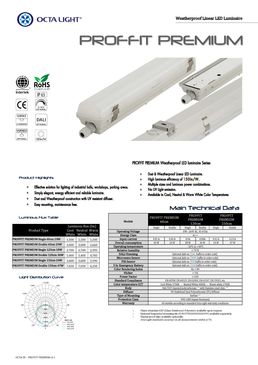 Luminaire économique pour des applications industrielles | PROFIT PREMIUM