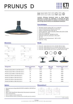 Luminaire d’éclairage fonctionnel urbain | PRUNUS D