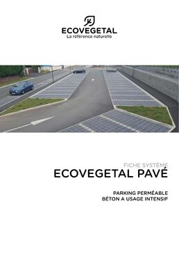 Système de pavage béton drainant sur dalle alvéolaires en matériau recyclé | ECOVEGETAL PAVE