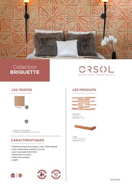 Briquette de parement | BRIQUETTE 