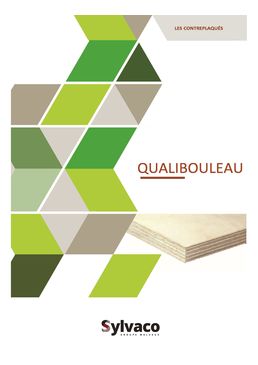 Contreplaqué bouleau brut pour aménagement intérieur l Qualibouleau 