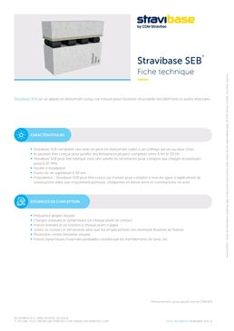  Appui élastomère structurel sur mesure | Stravibase SEB 