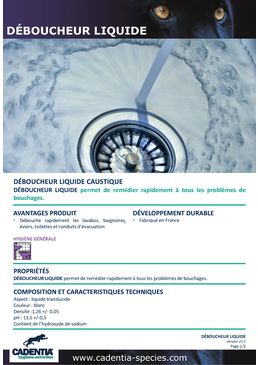 Déboucheur liquide caustique | CADENTIA DÉBOUCHEUR LIQUIDE 